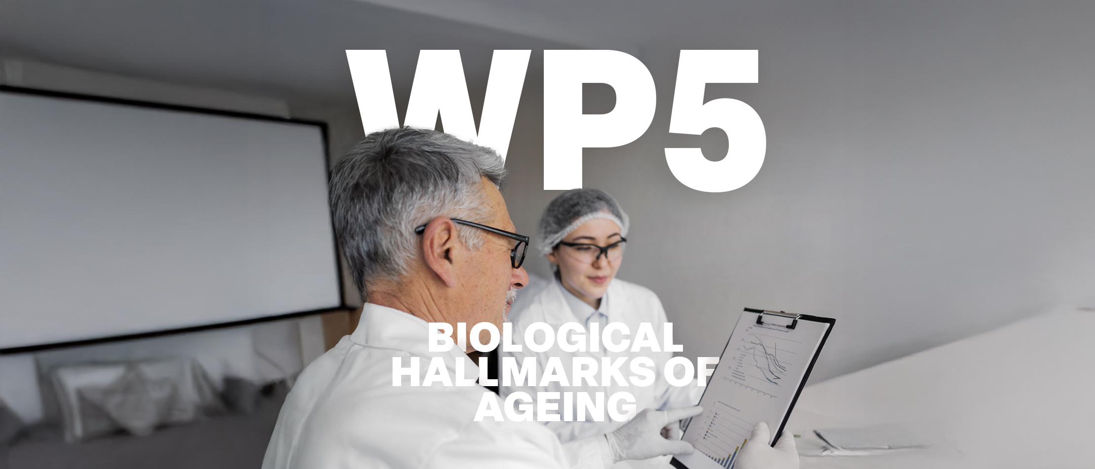 WP5 HEALTHY AGEING, stage project, multi-morbidity