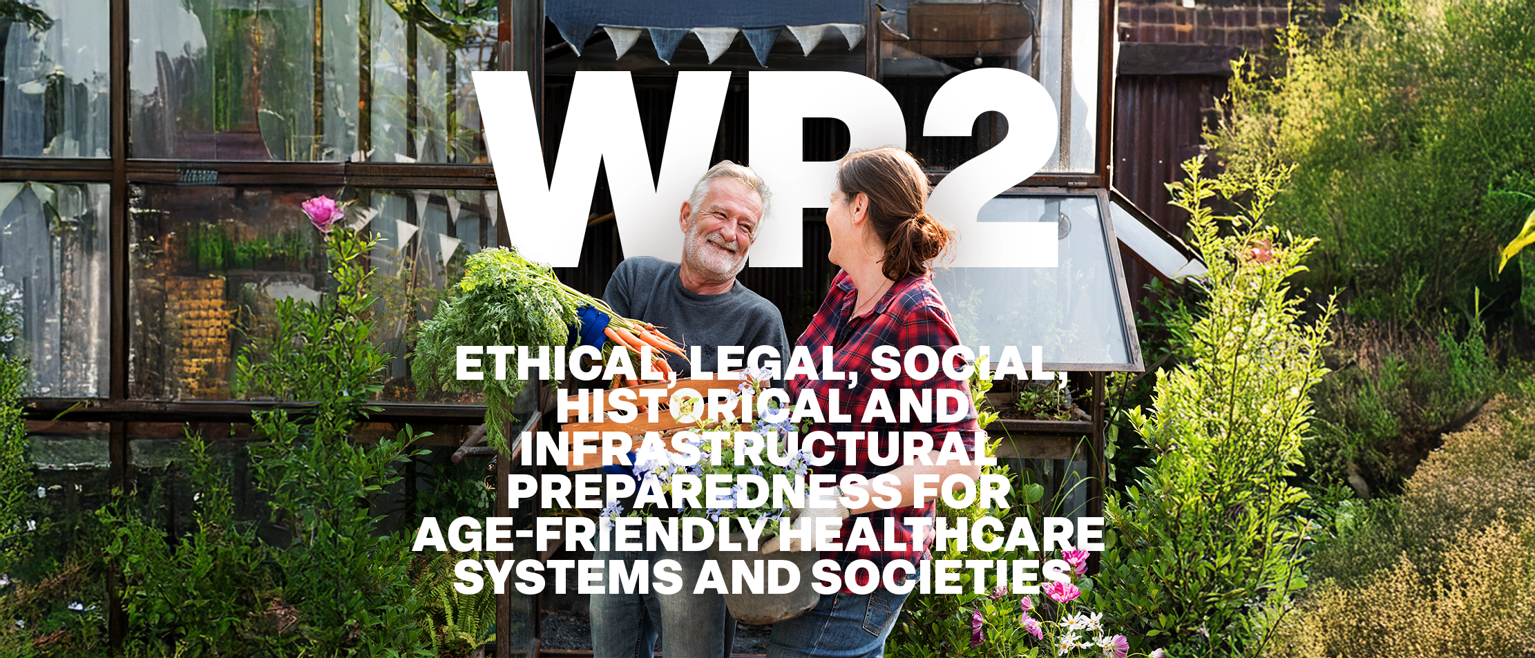 HEALTHY AGEING, stage project, multi-morbidity
