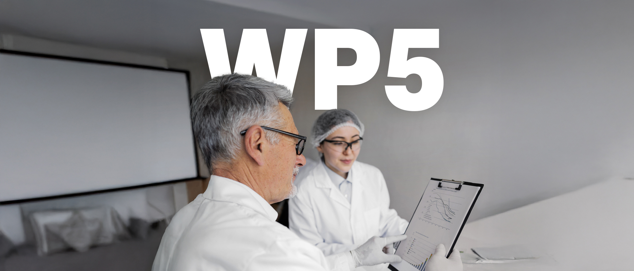 HEALTHY AGEING, stage project, multi-morbidity