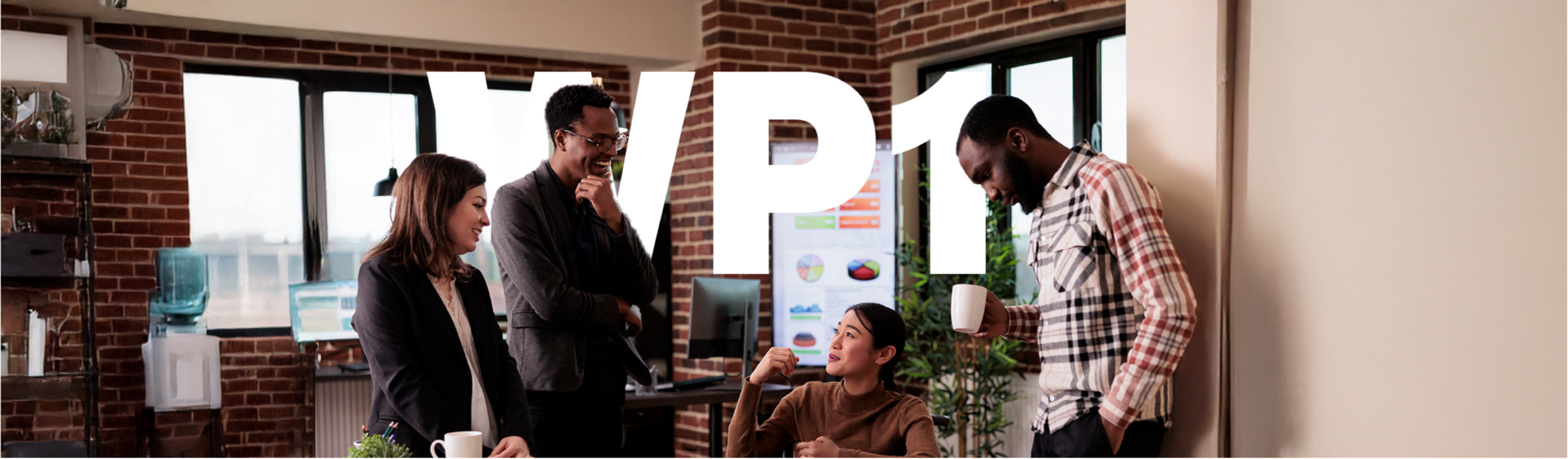 HEALTHY AGEING, stage project, multi-morbidity