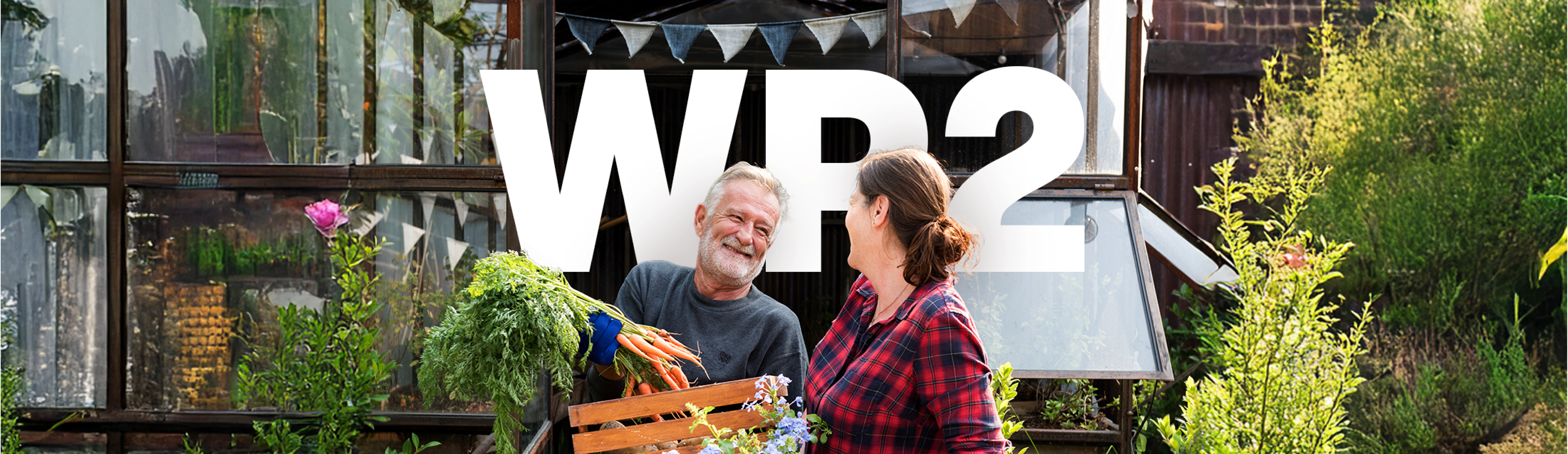 HEALTHY AGEING, stage project, multi-morbidity