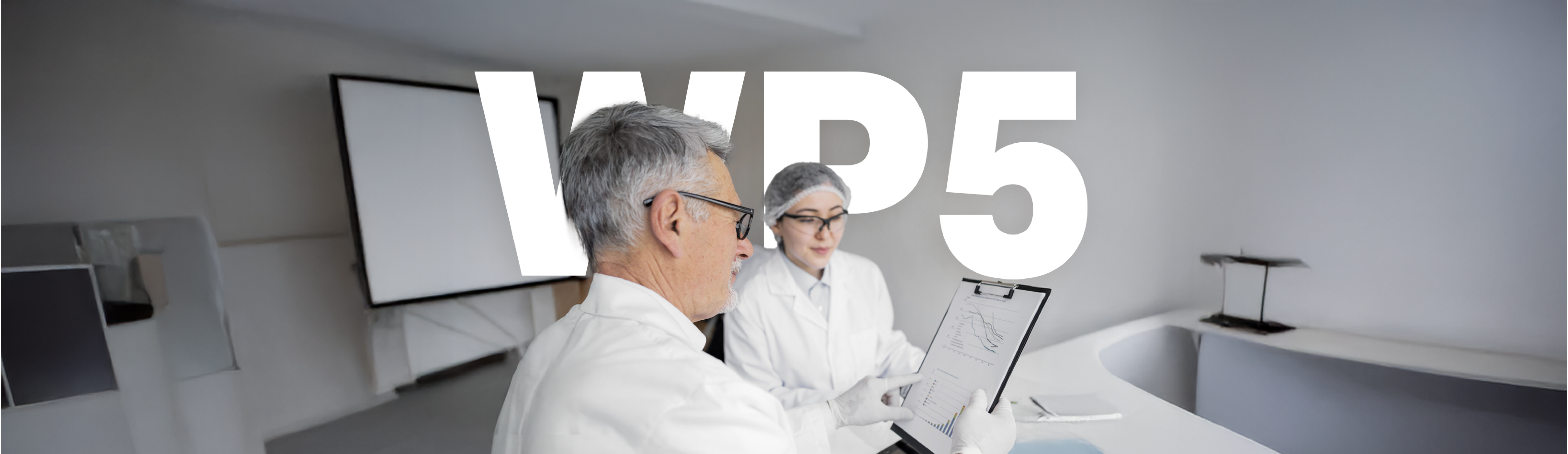 HEALTHY AGEING, stage project, multi-morbidity