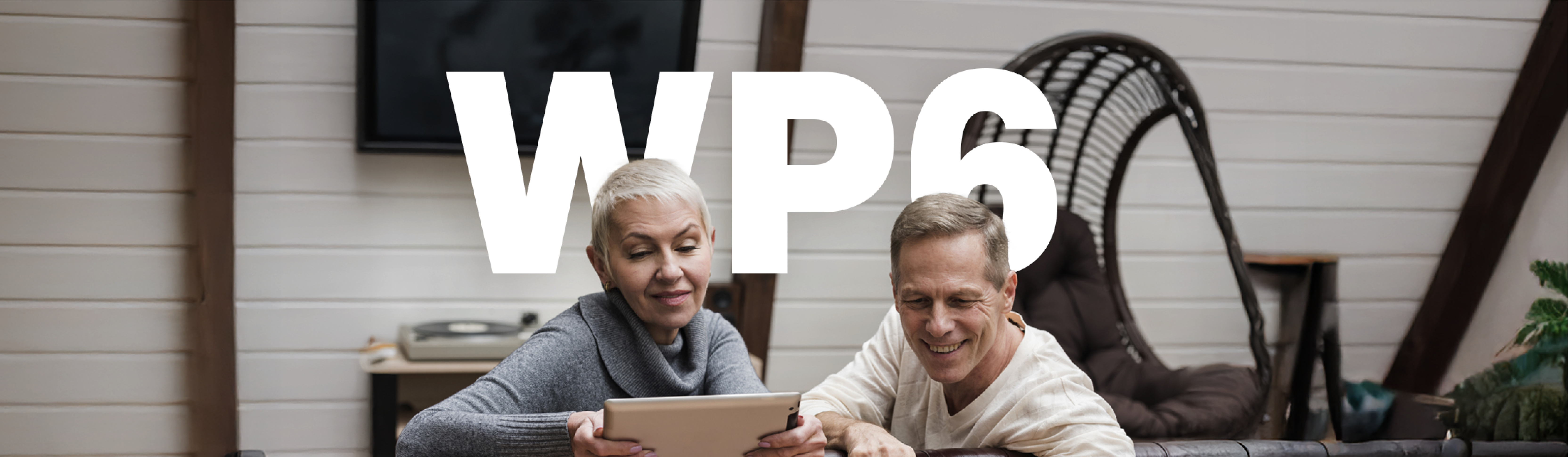 HEALTHY AGEING, stage project, multi-morbidity