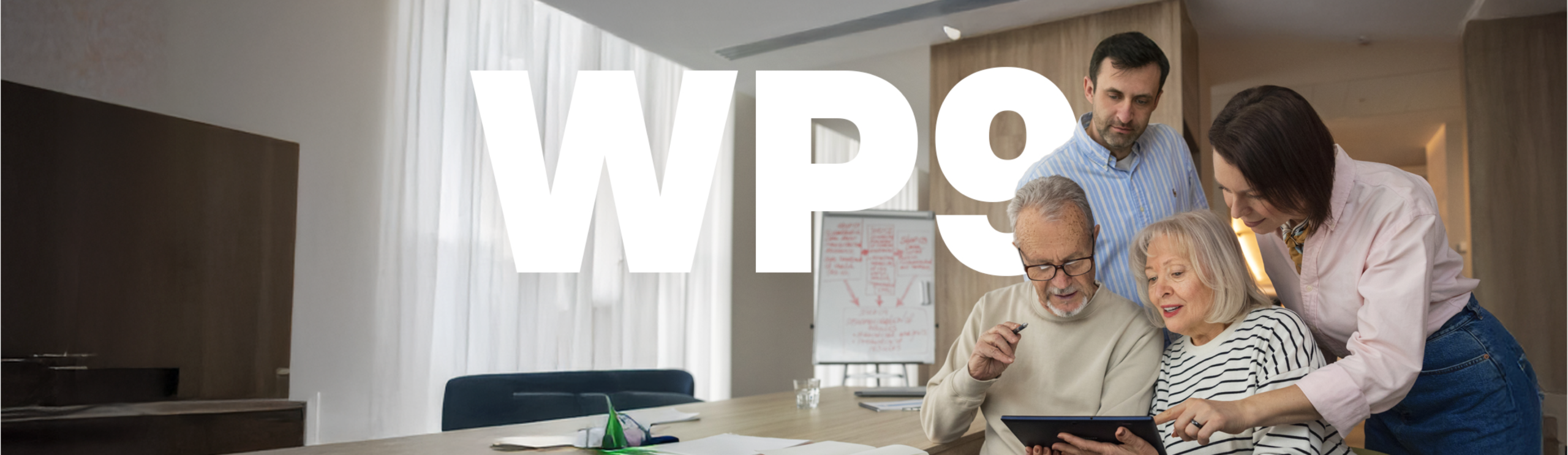 HEALTHY AGEING, stage project, multi-morbidity