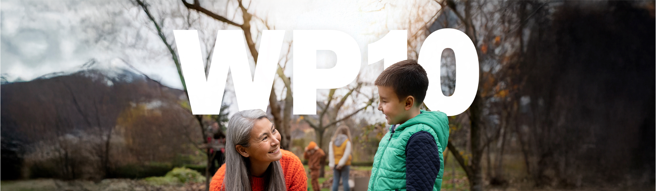 HEALTHY AGEING, stage project, multi-morbidity